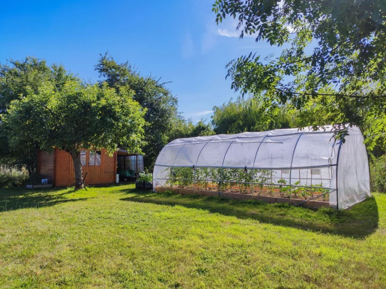 Photo de la serre du potager et de la cabane de jardin