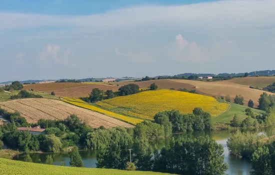 Photo des collines avec tournesols et du lac