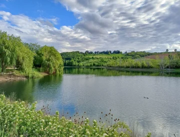 Photo du lac du COULOUMIER Côté Lac avec des canards