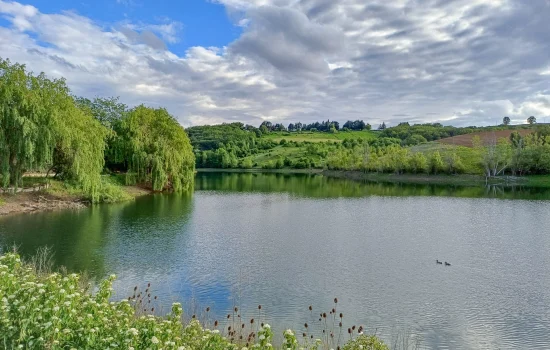 Photo du lac du COULOUMIER Côté Lac avec des canards